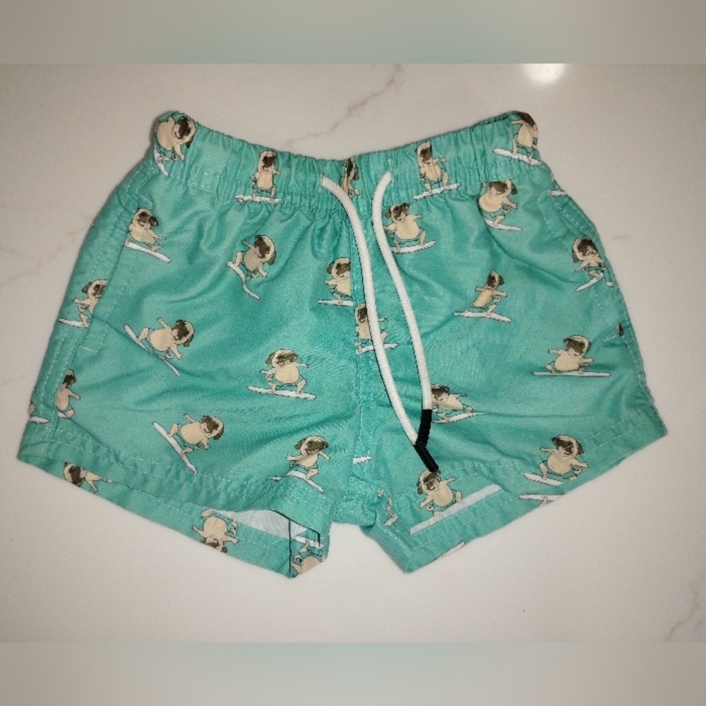 Teal Surfing Pug Swim Shorts Size 2
